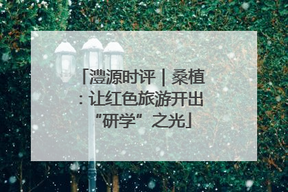 澧源时评｜桑植：让红色旅游开出“研学”之光